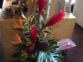 Exotic Flowers - Stemz Florist & Treasures
