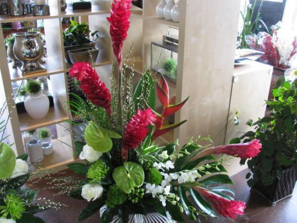 Sympathy Flowers - Stemz Florist